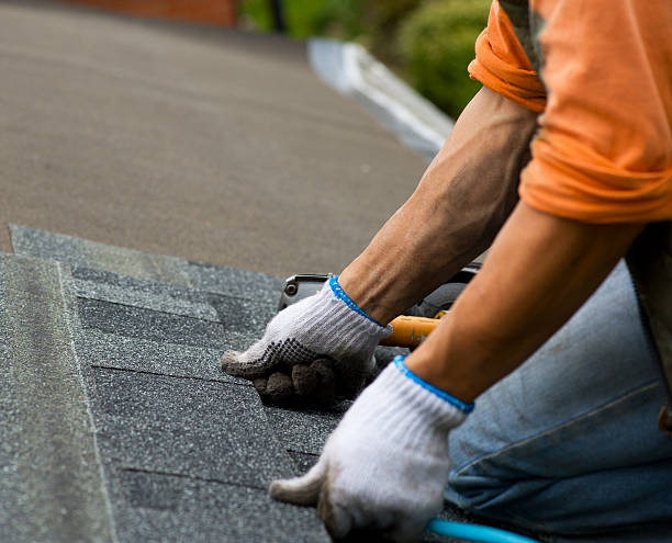 Roof Gutter Cleaning in Dixmoor, IL